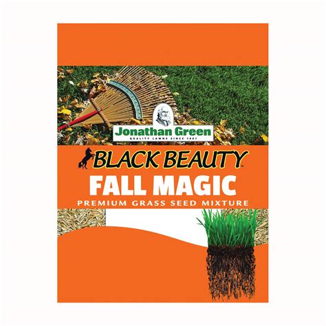 Black beauty fal magic
